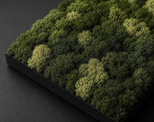 Verde stabilizzato